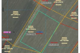 იყიდება მიწის ნაკვეთი, სასოფლო - სამეურნეო, შულავერი 