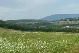 იყიდება მიწის ნაკვეთი, საგურამო