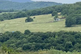 იყიდება მიწის ნაკვეთი, საგურამო