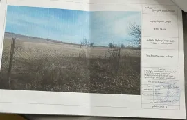 იყიდება მიწის ნაკვეთი, სასოფლო - სამეურნეო, სამთავისი 