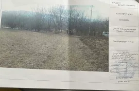 იყიდება მიწის ნაკვეთი, სასოფლო - სამეურნეო, სამთავისი 