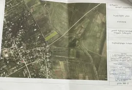 იყიდება მიწის ნაკვეთი, სასოფლო - სამეურნეო, სამთავისი 