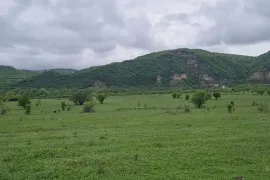 იყიდება მიწის ნაკვეთი, სასოფლო - სამეურნეო, ბულაჩაური