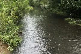 იყიდება მიწის ნაკვეთი, სასოფლო - სამეურნეო, ქობულეთი