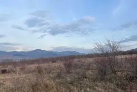 იყიდება მიწის ნაკვეთი, საგურამო