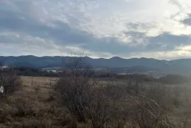 იყიდება მიწის ნაკვეთი, საგურამო