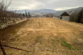 იყიდება მიწის ნაკვეთი, სასოფლო - სამეურნეო, ავჭალა