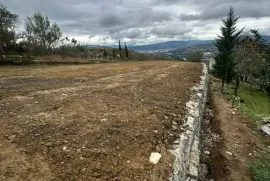 იყიდება მიწის ნაკვეთი, სასოფლო - სამეურნეო, ავჭალა