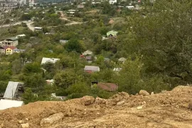 იყიდება მიწის ნაკვეთი, სასოფლო - სამეურნეო, ავჭალა