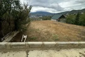 იყიდება მიწის ნაკვეთი, სასოფლო - სამეურნეო, ავჭალა