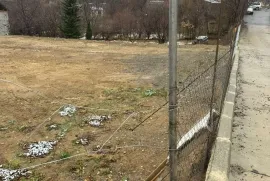 იყიდება მიწის ნაკვეთი, სასოფლო - სამეურნეო, ავჭალა