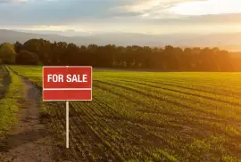 Land For Sale, Krtsanisi 