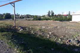 Land For Sale, Ozurgeti