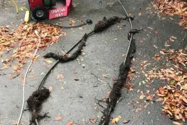 KANALIZACIIS GAWMENDA - კანალიზაციის გაწმენდა - 557 55 40 00