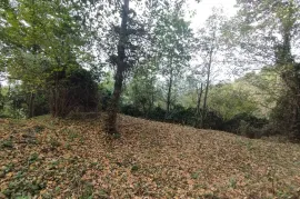 Land For Sale, For Investment, Kvariati