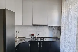 Daily Apartment Rent, 1 Room, Old building, Tbilisi