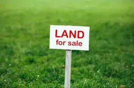 Land For Sale, Tsilkani
