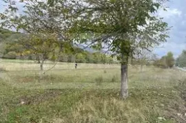 Land For Sale, Tianeti