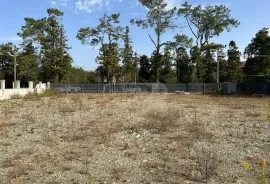 იყიდება მიწის ნაკვეთი, არა სასოფლო - სამეურნეო, ურეკი