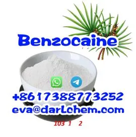 Supply  Benzocaine powder Salt CAS 94-09-7