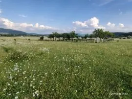 იყიდება მიწის ნაკვეთი, სასოფლო - სამეურნეო, თიანეთი