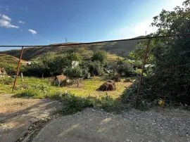 Land For Sale, Mukhiani