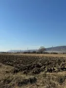 Land For Sale, Agricultural, Tsilkani