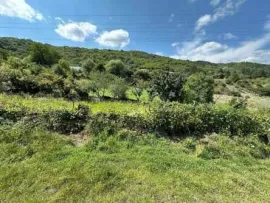 Land For Sale, Non Agricultural, Kvemo Aranisi