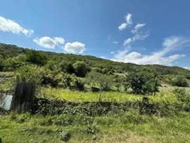 Land For Sale, Non Agricultural, Kvemo Aranisi