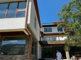 House For Sale, 12 Room, Tbilisi, Bagebi