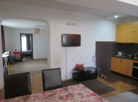 Аренда квартир посуточно, 3 Kомнатная, Старое здание, Тбилиси, saburtalo