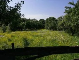 Продается Земля, Коммерческий, Абастумани 