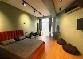 Apartment for sale, 1 Room, New building, Tbilisi, Sanzona