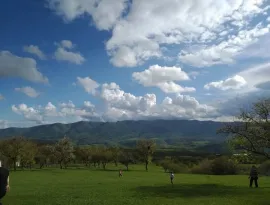 ქირავდება მიწის ნაკვეთი, დიდი თონეთი