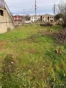 Land For Sale, Ozurgeti