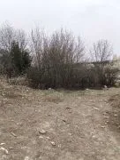 Land For Sale, Vashlijvari