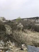 Land For Sale, Vashlijvari