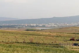 იყიდება მიწის ნაკვეთი, სასოფლო - სამეურნეო