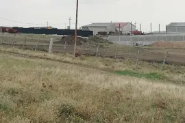 იყიდება მიწის ნაკვეთი, სასოფლო - სამეურნეო