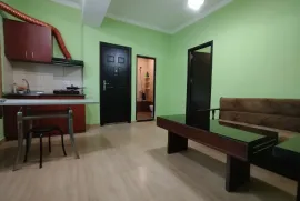 Аренда, 2 Kомнатная, Новостройка, Тбилиси, Надзаладеви