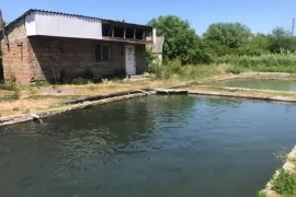 იყიდება, სპეციალური ფართი