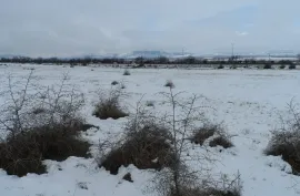 იყიდება მიწის ნაკვეთი, კომერციული, ჩარდახი