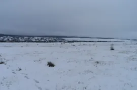 იყიდება მიწის ნაკვეთი, კომერციული, ჩარდახი