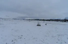 იყიდება მიწის ნაკვეთი, კომერციული, ჩარდახი