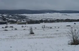 იყიდება მიწის ნაკვეთი, კომერციული, ჩარდახი