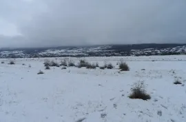 იყიდება მიწის ნაკვეთი, კომერციული, ჩარდახი