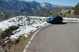 იყიდება მიწის ნაკვეთი, სასოფლო - სამეურნეო, ყოროლისთავი