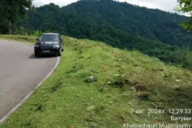 იყიდება მიწის ნაკვეთი, სასოფლო - სამეურნეო, ყოროლისთავი