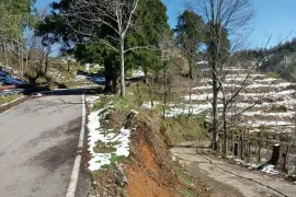 იყიდება მიწის ნაკვეთი, სასოფლო - სამეურნეო, ყოროლისთავი