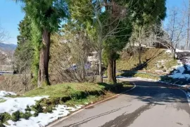 იყიდება მიწის ნაკვეთი, სასოფლო - სამეურნეო, ყოროლისთავი